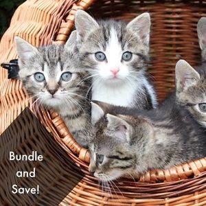 Bundle & Save!